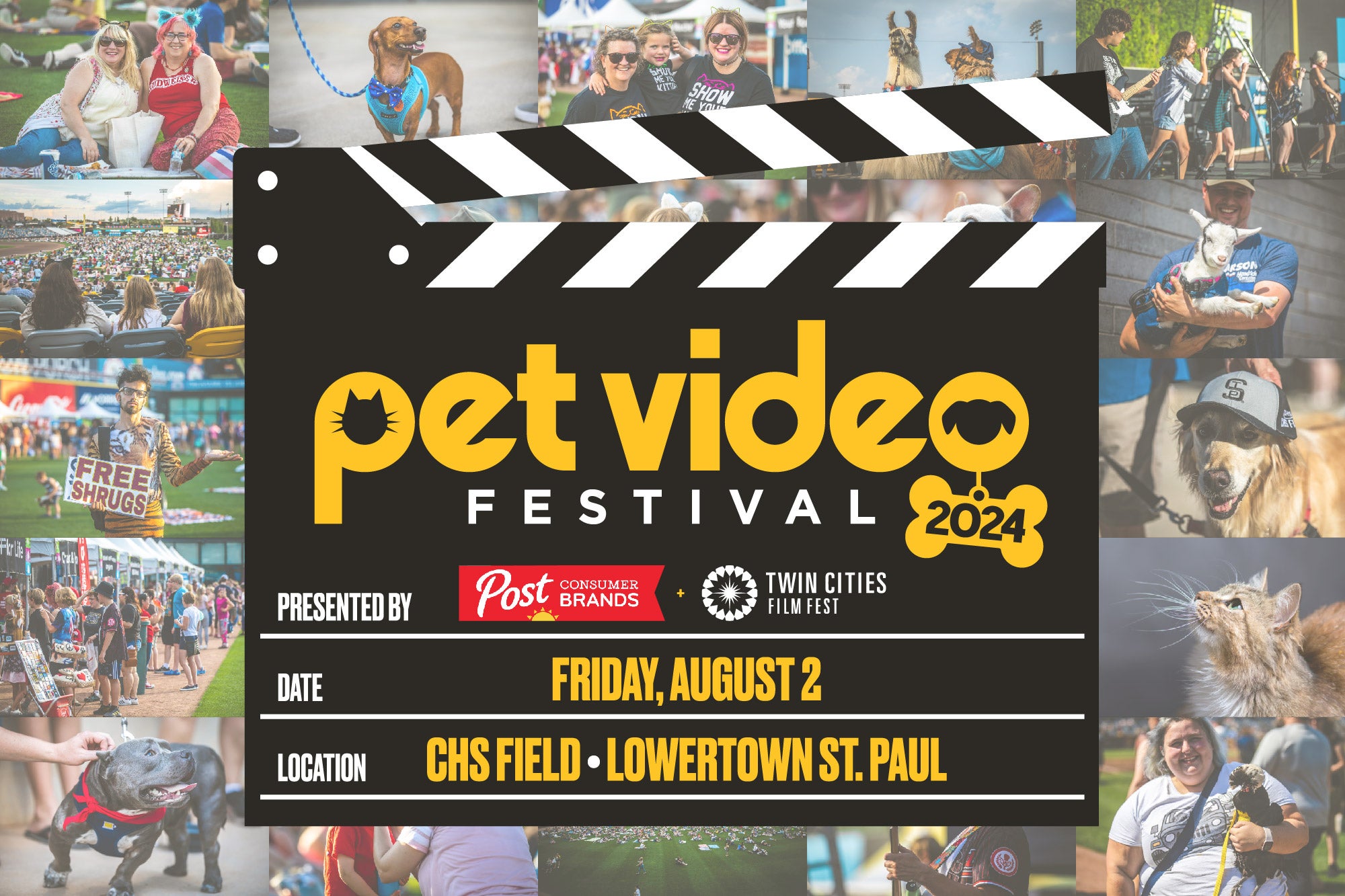 More Info for Pet Video Festival